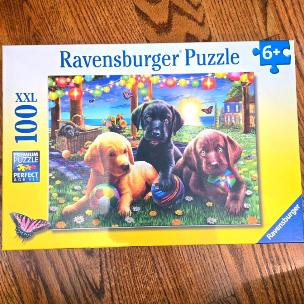 100 piece Ravensburger Puzzle